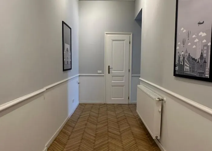 Carol - Ultra - Powered By Neo 蒂米什瓦拉