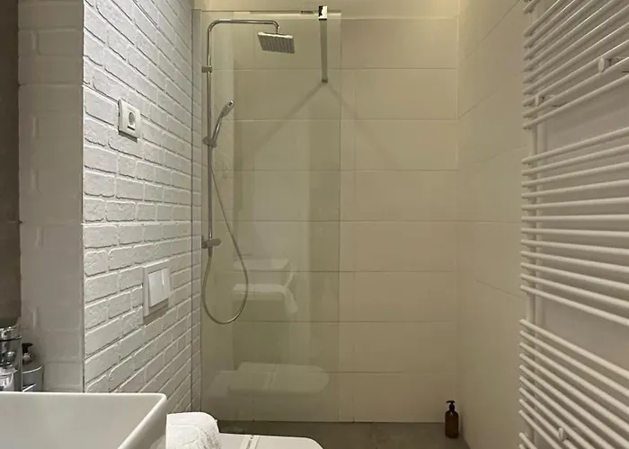 Carol - Ultra - Powered By Neo Temesvár