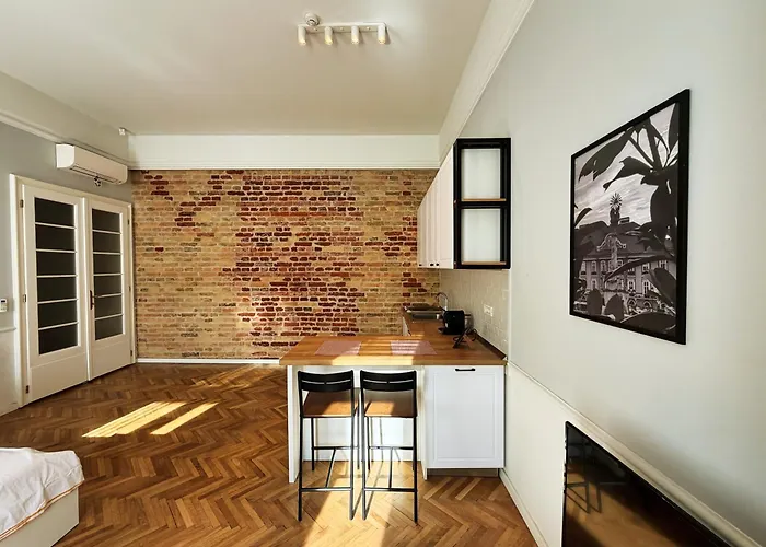 Apartman Carol - Ultra - Powered By Neo Temesvár